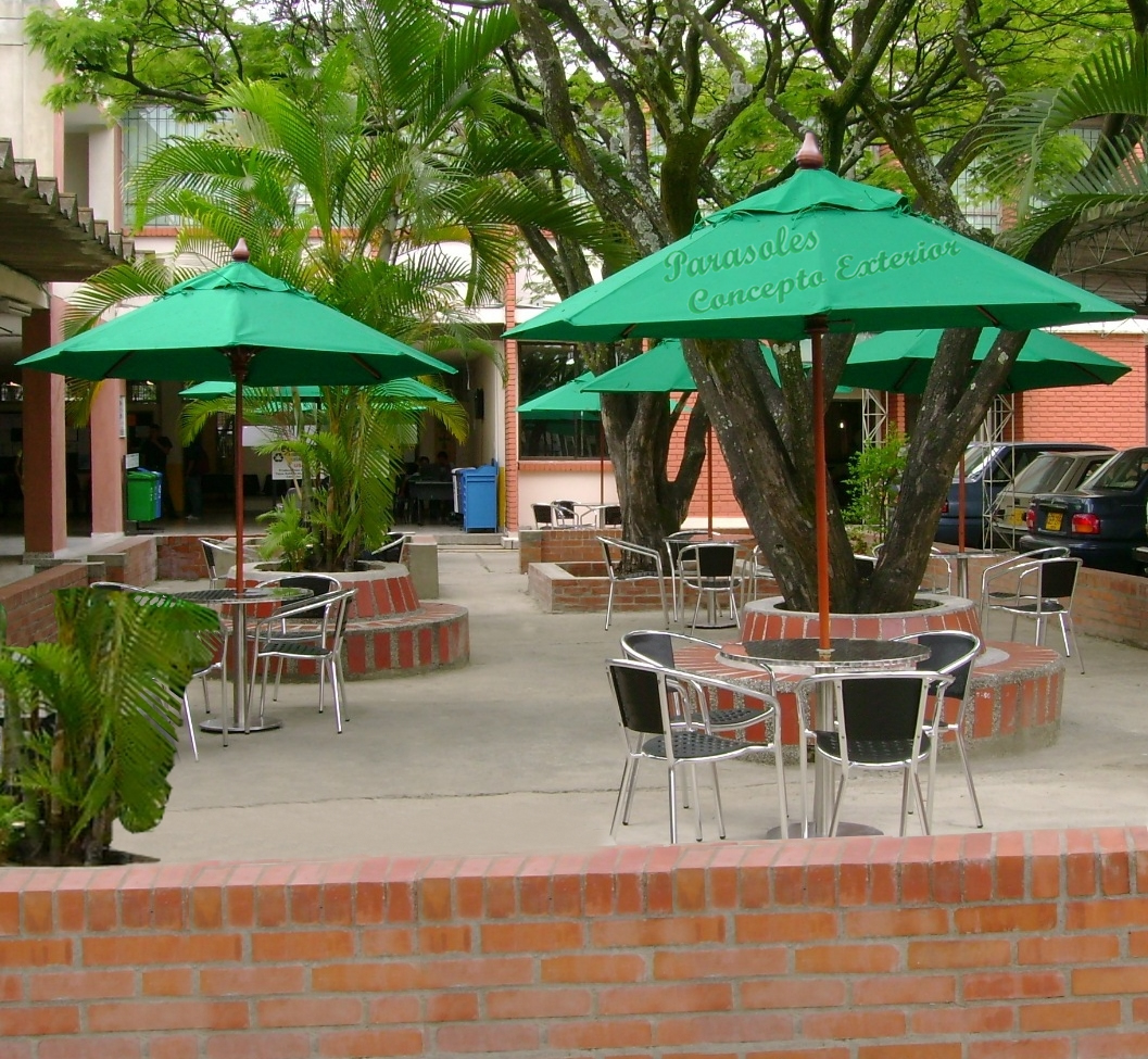 Sombrilla en Granadillo de 2.50 Octagonal